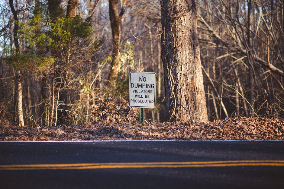 A weathered, white-painted wooden sign lying on the ground amidst dense green foliage with small pink and yellow flowers. The sign displays black handwritten text stating, 'This is not a Dump,' with s